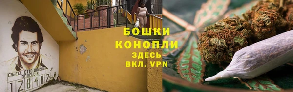 сатива Инсар