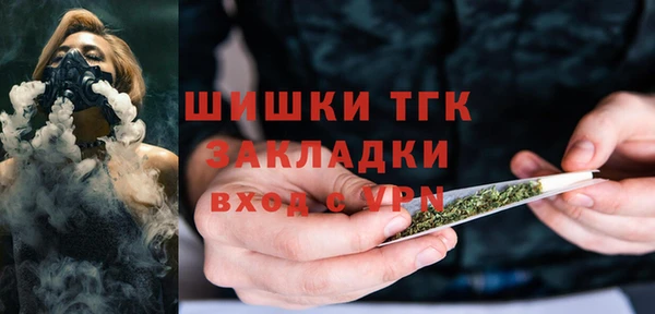 твердый Иннополис