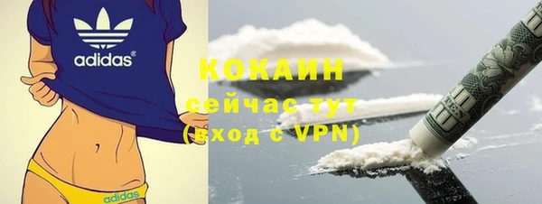 твердый Иннополис