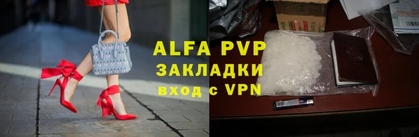 твердый Иннополис