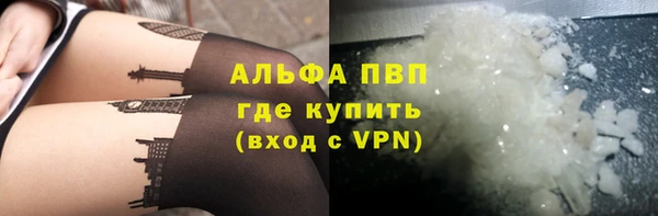 сатива Инсар