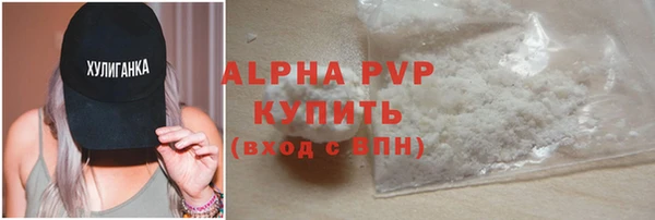 сатива Инсар