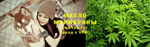 сатива Инсар