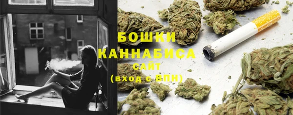 сатива Инсар